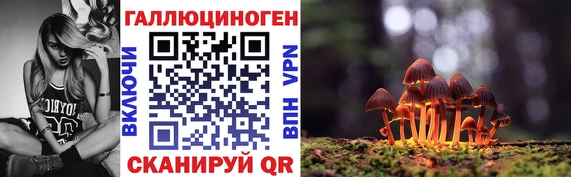 Галлюциногенные грибы MAGIC MUSHROOMS  Сураж 