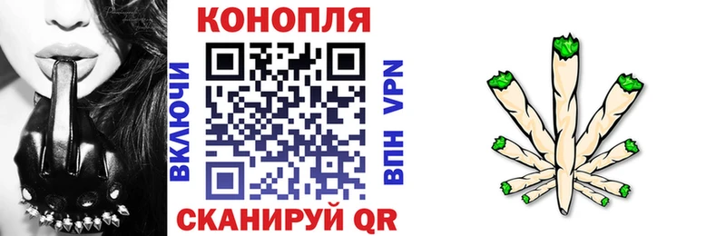 Бошки марихуана сатива  Сураж 